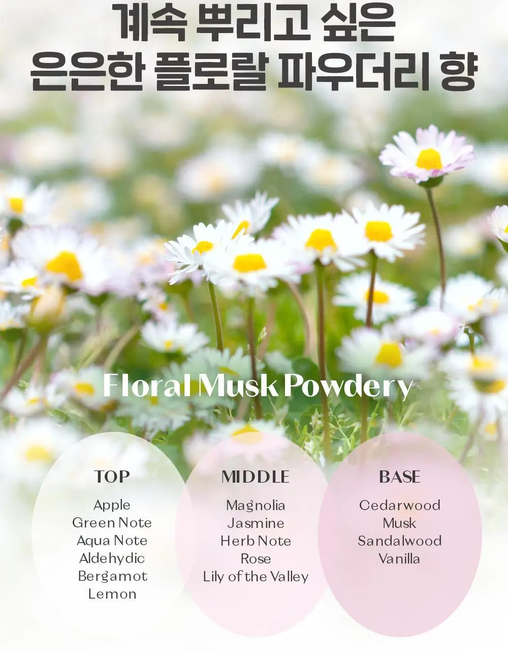 [태닝 시나모롤] 에뛰드 클라우드 필터 쿠션 기획 (+ 메이크업 픽서 + 퍼프 증정) 15g 4 Colors 상세페이지 52